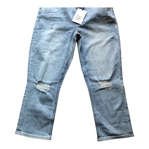 Classic Light Blue High Rise Jeans - Picture 2 of 14